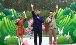 太华皮肤爆料最新进展视频,神秘特效与独特设计首次曝光