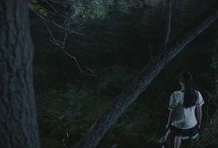 死亡之路在线观看,在线惊悚之旅